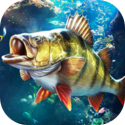 ...天堂资源震天版